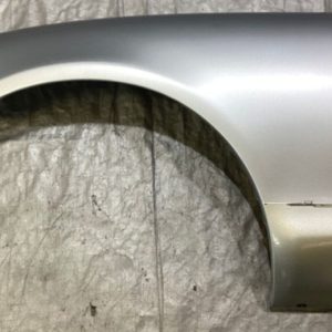 Fenders  Silver Fits 99-2005